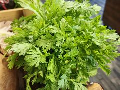 茼蒿-盡膳口福·百年汤方火锅(科华北路店)
