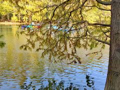 -上海海湾国家森林公园