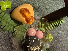 -叶叶菩提(太原别墅店)