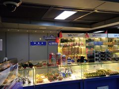 -泰达航母主题公园