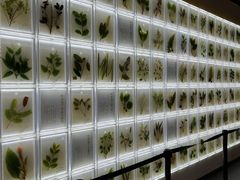 -广东中医药博物馆
