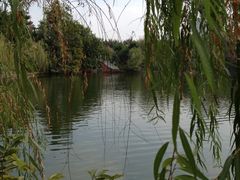 -东莞市可园博物馆