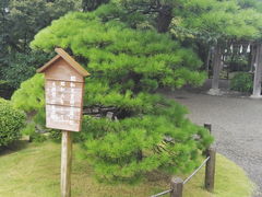 -水前寺成趣园