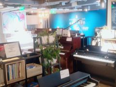-雅马哈钢琴专卖店盛世雅歌琴行·电钢琴城·钢琴培训(翠微路店)