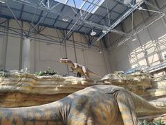 -国家自然博物馆