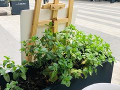 -喝客咖啡·柠檬大口茶(东大路店)
