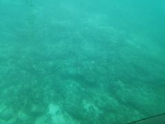 -亚龙湾海底世界