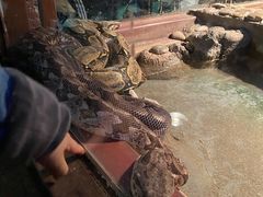 -济南野生动物世界