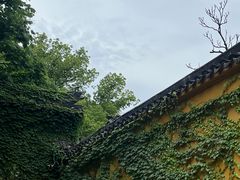 -西园戒幢律寺