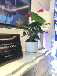 点击看大图 -昆明梦想医疗美容医院