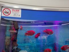 -雅悦齿科(顾村公园店)