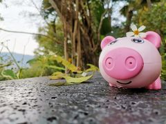 -广州锦绣香江度假别墅