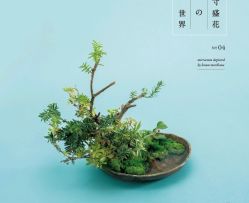 -今日陶艺(富力广场店)