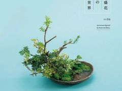 -今日陶艺(富力广场店)