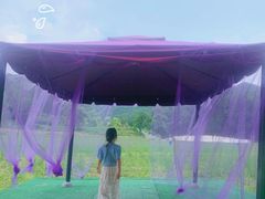 -紫海香堤香草艺术庄园