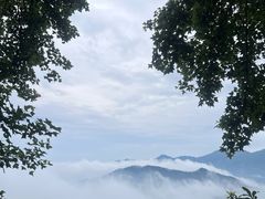 -广州市石门国家森林公园