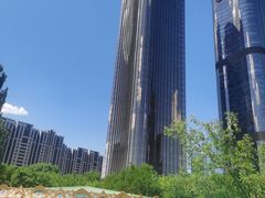 -大望京公园