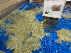 -盒马鲜生(大成店)