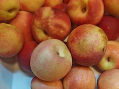 -蒙都43°9羊火锅·赤峰美食(宁城店)