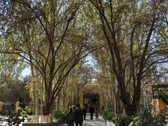 -艾提尕尔清真寺