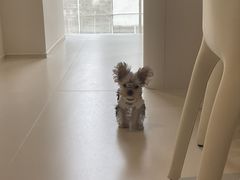 -Living Kitchen团建·厨艺派对空间(国贸店)