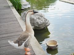 -扬州瘦西湖温泉