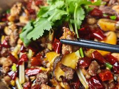 -食神又名厕所兔