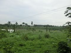 -侯臣咖啡文化村