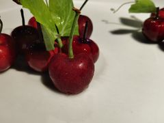 -大董烤鸭店(王府井店)