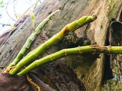 -邹记·美食(斗门店)