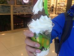 -Salud撒露欧洲冻酸奶(蓝色港湾店)