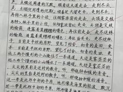-东书房琴棋书画馆(昆城校区)