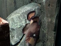 -沈阳海洋探索中心