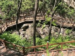 -大岭沟猕猴桃谷风景区