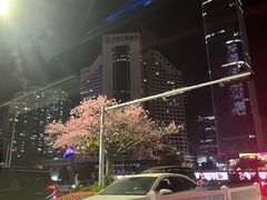 -海底捞火锅(金光华店)