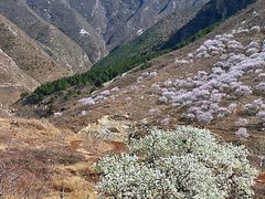 -白羊峪长城旅游区