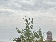 -永定河休闲森林公园