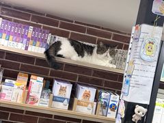 -爱派特动物医院·全科诊疗中心