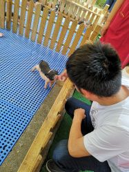 -萌宠亲子动物乐园(槐房万达店)