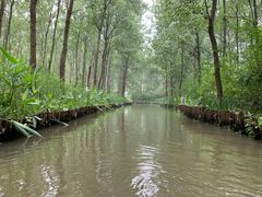 -溱湖国家湿地公园