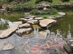 -全国青少年井冈山革命传统教育基地