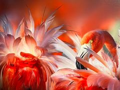 -罗红摄影艺术馆