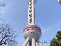 -上海大自然野生昆虫馆(东方明珠·爬宠昆虫探索中心)