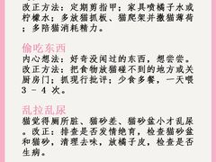 -暖阳宠物医院·犬猫康复中心·骨科