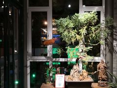 -慢丽江·云南野生菌土鸡锅(西山店)