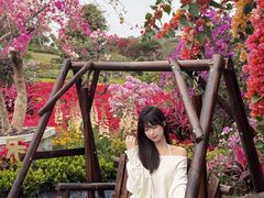 -东莞植物园