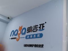 -纳吉亚猫专科动物诊疗中心(蒋宅口分院)