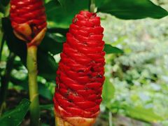 -飞霞风景名胜区