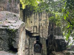 -铁山坪森林公园