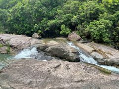 -广州白江湖森林公园